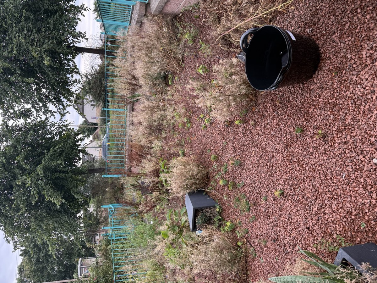 Overgrown gravel border full of weeds before garden maintenance
